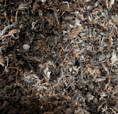 como se fermenta pu erh te