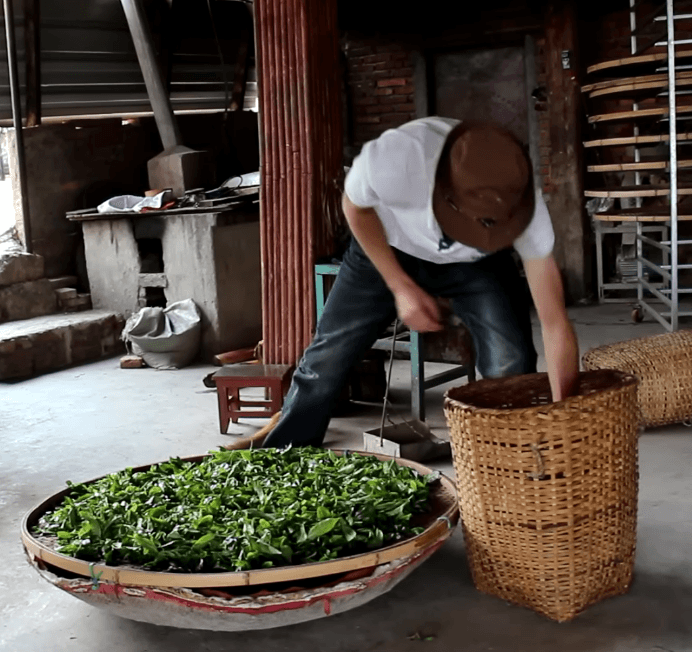 proceso fermentacion pu erh cake