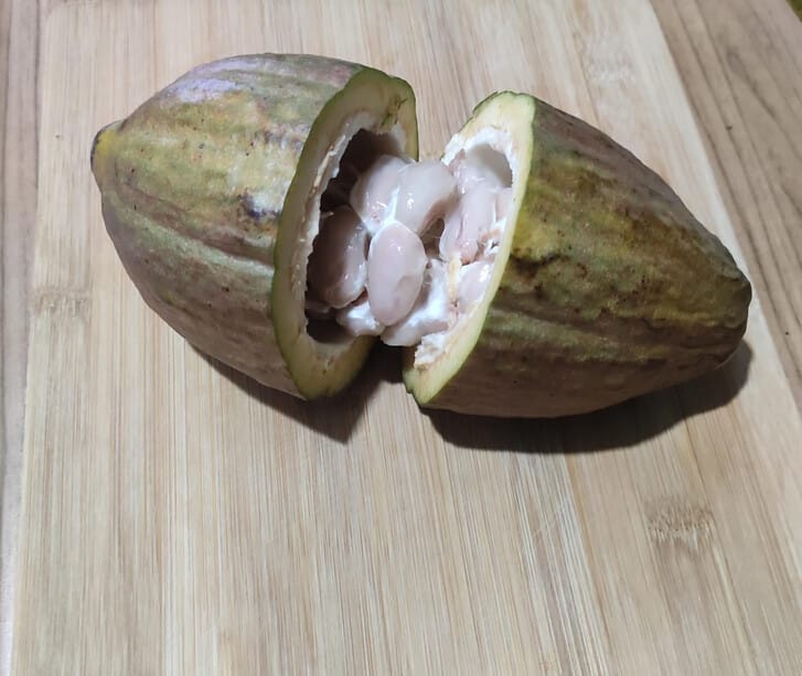 receta de chocolate casero desde cero