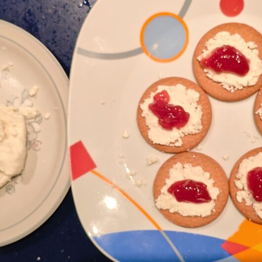 receta de queso de untar fresco cottage