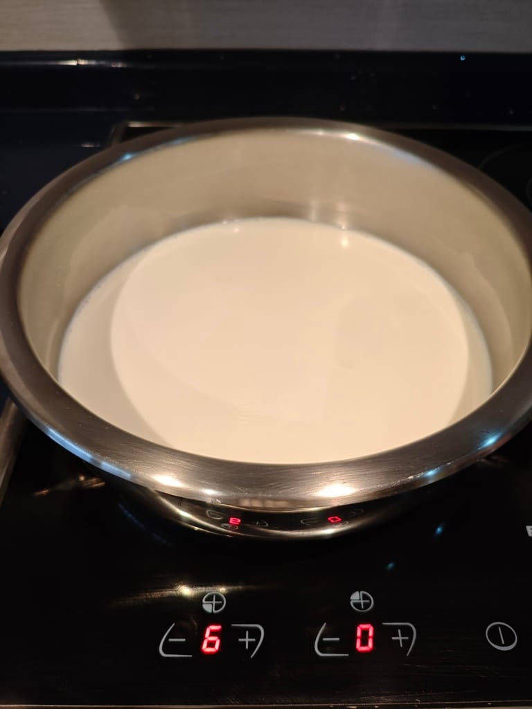 receta queso en casa cottage de untar